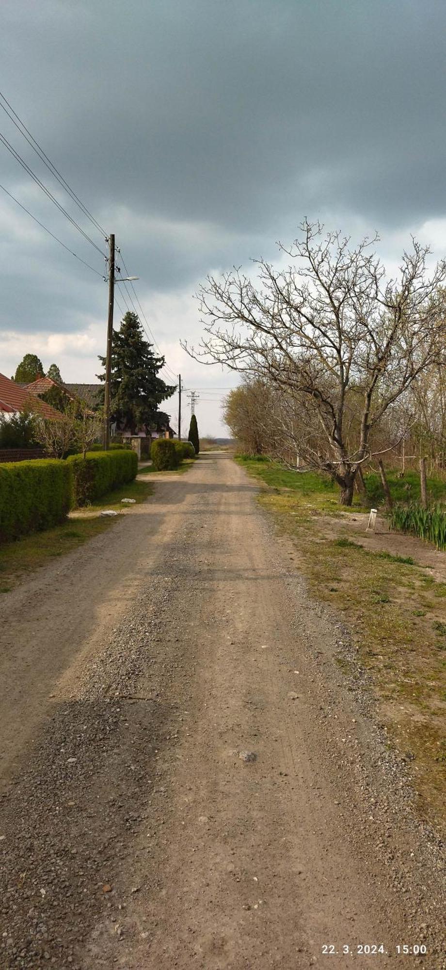 Apartman Dve Lipe Palić Εξωτερικό φωτογραφία